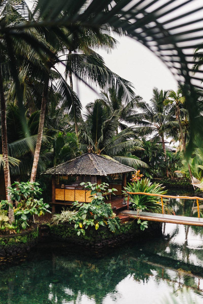 Young Teen Sucker-punches Opponent During Basketball Game
